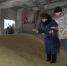 Брянские аграрии ведут подготовку к весеннему севу - Газета Заря