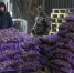 Поставки брянских продуктов за рубеж выросли на 27% - Газета Заря