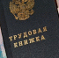 В Брянской области  увеличился размер пособия для потерявших работу граждан - Газета Заря