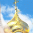 Поздравление с Днем молодежи - Администрация Карачевского района