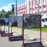 Жители Брянска и гости города  смогли увидеть зубров - Газета Заря