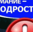 Карачевские полицейские провели профилактическое мероприятие «Подросток- беспризорник» - Газета Заря