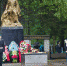 В Дятьковском районе Брянщины планируется благоустроить  4 общественные  и 6 дворовых территорий - Газета Заря