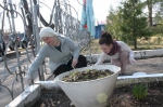 Субботник в масштабе