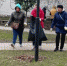 Сотрудники департамента внутренней политики Брянской области участвуют в субботнике - Газета Заря