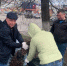 Брянские чиновники Владимир Оборотов и Андрей Бардуков вышли на субботник - Газета Заря