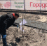 Подкормка деревьев состоялась в брянском Саду Победы - Газета Заря