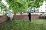 Красоты ради