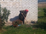 Областной субботник