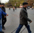 В Брянске состоялся мастер-класс по скандинавской ходьбе - Газета Заря