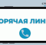 По вопросам образования можно обратиться на «горячую линию» - Газета Заря