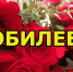 Поздравляем с Юбилеем! - Администрация Карачевского района
