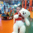 Глава Брянска Марина Дбар исполнила мечту 7-летней девочки из Мглина - Газета Заря