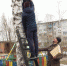 В Карачеве священники приняли участие в акции, посвящённой Международному дню птиц - Газета Заря