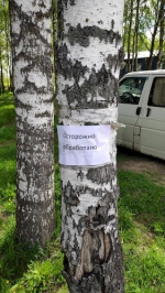 БОРЩЕВИК!!!