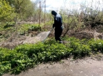 БОРЩЕВИК!!!
