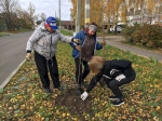 Субботник