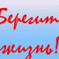 В Карачевском районе проводится  профилактическое мероприятие «Береги жизнь» - Газета Заря