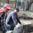 Продолжается благоустройство двора по улице К.Маркса в Карачеве - Газета Заря