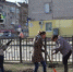 В городе Брянске в общегородском субботнике участвовали 5735 человек - Газета Заря