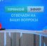 Управляющая ОСФР по Брянской области ответила на вопросы жителей - Газета Заря