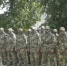 На Брянщине из добровольцев сформировали отряд в помощь пограничным войскам - Газета Заря