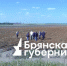 Представители власти и депутаты проверили ход уборки картофеля на полях Брянщины - Газета Заря