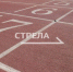 Трем брянским тренерам в этом году вручат ключи от новых квартир - Газета Заря