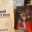В Брянской области стартовал Форум отрядов снежного десанта - Газета Заря