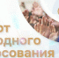 Россияне могут проголосовать за лучших муниципальных служащих страны - Газета Заря