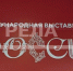 Брянская участница стала финалистом программы «Лига экскурсоводов» - Газета Заря