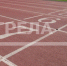 Чемпионкой России стала брянская легкоатлетка Мария Прохорец - Газета Заря