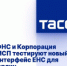 ФНС и Корпорация МСП тестируют новый интерфейс ЕНС для юрлиц - Газета Заря