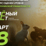 Брянцев приглашают принять участие в экологическом тестировании «Зелёный Зачёт» - Газета Заря