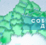 Многие брянские управляющие компании опоздали с уборкой мокрого снега - Газета Заря