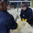 В КП-3 выпущено консервированной продукции почти на 19 миллионов рублей - Газета Заря