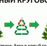 После Новогодних праздников в Карачевском районе пройдет акция «Елочный круговорот» - Газета Заря