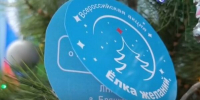 Новогодние мечты детей из Брянки исполнили брянские общественники и добровольцы - Газета Заря