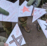 Школьники Брянской области написали письма росгвардейцам на приграничье - Газета Заря
