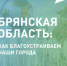 Две недели осталось до окончания голосования за объекты благоустройства в Брянской области - Газета Заря