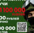 Брянцев приглашают на службу по контракту в Вооруженные Силы РФ - Газета Заря