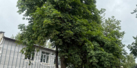 В Жуковке активно ремонтируют детский сад «Солнышко» - Газета Заря