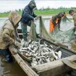 О проведении оперативно-профилактического мероприятия «Браконьер» в Карачевском районе