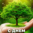 С Днем работников леса!. - Администрация Карачевского района