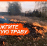 В Брянской области проводится профилактический  месячник «Сухая трава». - Администрация Карачевского района