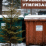 Утилизация новогодних деревьев. - Администрация Карачевского района