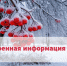 Экстренная информация РСЧС. - Администрация Карачевского района