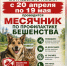 Месячник по профилактике бешенства. - Администрация Карачевского района