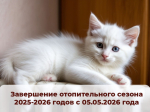 Завершение отопительного сезона.
