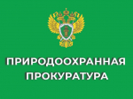 Определен порядок разработки, согласования и утверждения правил использования водохранилищ.